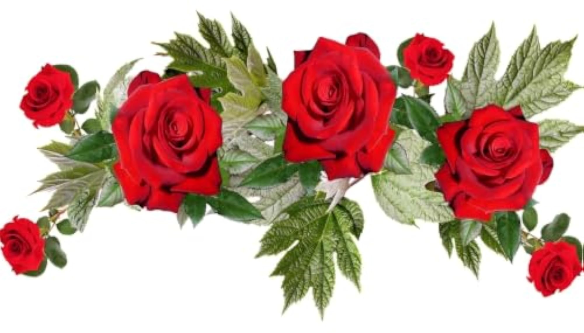 Red Rose Floral Wall Decal Sticker, Removable Vinyl